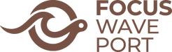 Focus Wave Port
